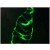 Immunofluorescence staining of a 7 days old Zebrafish embryo.