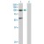 Western Blot analysis of ACO1 expression in transfected 293T cell line (H00000048-T01) by ACO1 MaxPab polyclonal antibody.
Lane 1: ACO1 transfected lysate(97.79 KDa).
Lane 2: Non-transfected lysate.