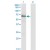 Western Blot analysis of AKT1 expression in transfected 293T cell line by AKT1 monoclonal antibody (M26), clone 3E11.
Lane 1: AKT1 transfected lysate(55.7 KDa).
Lane 2: Non-transfected lysate.