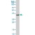 ATP1B3 MaxPab rabbit polyclonal antibody. Western Blot analysis of ATP1B3 expression in PC-12.
