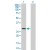 Western Blot analysis of CASP7 expression in transfected 293T cell line (H00000840-T01) by CASP7 MaxPab polyclonal antibody.
Lane 1: CASP7 transfected lysate(33.33 KDa).
Lane 2: Non-transfected lysate.