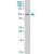 CASP10 monoclonal antibody (M02), clone 2E7. Western Blot analysis of CASP10 expression in U-2 OS ( Cat # L022V1 ).