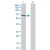 Western Blot analysis of KRT14 expression in transfected 293T cell line (H00003861-T02) by KRT14 MaxPab polyclonal antibody.

Lane 1: KRT14 transfected lysate(51.60 KDa).
Lane 2: Non-transfected lysate.
