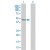Western Blot analysis of STAT5B expression in transfected 293T cell line (H00006777-T01) by STAT5B MaxPab polyclonal antibody.

Lane 1: STAT5B transfected lysate(42.9 KDa).
Lane 2: Non-transfected lysate.
