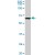 VCP monoclonal antibody (M03), clone 4A8. Western Blot analysis of VCP expression in HepG2 ( Cat # L019V1 ).