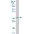 YWHAH polyclonal antibody (A01), Lot # 060524JCS1 Western Blot analysis of YWHAH expression in SJCRH30 ( Cat # L027V1 ).