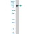ZYX monoclonal antibody (M02), clone 2D1 Western Blot analysis of ZYX expression in NIH/3T3 ( Cat # L018V1 ).