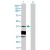 Western Blot analysis of HSD17B6 expression in transfected 293T cell line (H00008630-T01) by HSD17B6 MaxPab polyclonal antibody.

Lane 1: HSD17B6 transfected lysate(34.87 KDa).
Lane 2: Non-transfected lysate.
