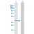 Western Blot analysis of BAG4 expression in transfected 293T cell line (H00009530-T02) by BAG4 MaxPab polyclonal antibody.
Lane 1: BAG4 transfected lysate(49.60 KDa).
Lane 2: Non-transfected lysate.