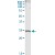 Immunoprecipitation of BAG2 transfected lysate using anti-BAG2 MaxPab rabbit polyclonal antibody and Protein A Magnetic Bead (U0007), and immunoblotted with BAG2 MaxPab mouse polyclonal antibody (B01) (H00009532-B01).