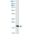 PTGES MaxPab polyclonal antibody. Western Blot analysis of PTGES expression in HeLa.