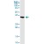 APOL2 MaxPab polyclonal antibody. Western Blot analysis of APOL2 expression in A-431.