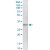 Immunoprecipitation of HSD17B7 transfected lysate using anti-HSD17B7 MaxPab rabbit polyclonal antibody and Protein A Magnetic Bead (U0007), and immunoblotted with HSD17B7 MaxPab mouse polyclonal antibody (B01) (H00051478-B01).