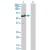 Western Blot analysis of PHACS expression in transfected 293T cell line by PHACS monoclonal antibody (M02), clone 1D2.

Lane 1: PHACS transfected lysate(57.34 KDa).
Lane 2: Non-transfected lysate.
