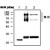 Immunoblot analysis of purified proteins. Lane 1 : purified human Apolipoprotein A-I protein, lane 2 : purified human HDL protein and lane 3 : Human plasma. ( * N. S : Nonspecific band )