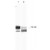 Western blot analysis of MMP2 using MMP2 monoclonal antibody, clone MMP2/2C1 ( Cat # MAB2334 ).
Lane 1 : Human recombinant MMP2 protein.
2 : Schwann cell culture medium.