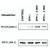 Induction of phosphorylation of STAT1 at Ser727 in human malignant melanoma cells ( short-term culture derived from a patient ) in response to interferons.
Subconfluent cells were serum-starved before exposure to activation dosages of IFN-gamma ( 10 ng/ml ) and IFN-alpha ( 1000 IU/ml and 5000 IU/ml ).
Western blotting analysis of cell extracts shows detection of phosphorylated STAT1 ( Ser727 ) by the antibody PSM1 ( upper panel ) and total STAT1 level by STAT1 monoclonal antibody, clone SM1 ( Cat # MAB3648 ) ( lower panel ).