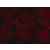 The Chromeo 546 Goat anti-Mouse IgG secondary antibody was used to stain EGFR in an urothel cell line. This data was generously provided by Dr. Brockhoff, Institut for Pathology, University Regensburg, Germany.