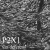 P2RX1 / P2X1