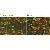 DRG sections double-labeled for ASIC3 (red) and either P2X3 (green, A) or TRPV1 (green, B); double-labeled cells are yellow or orange