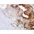 Immunohistochemistry: GRP94 Antibody (H90-10) [NB110-61640] - Human Colon Cancer, Amplifer