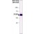 Western blot:Heat Shock Protein 70 antibody in bovine brain lysate [NB600-1165]