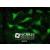 Immunocytochemistry: Beta Actin Antibody [NB600-503] - Staining in HeLa cell