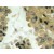 Immunohistochemistry: Akt2 Antibody [NBP1-19832] -  Akt2 Antibody [NBP1-19832] - paraffin-embedded human lung carcinoma tissue.