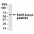 Western Blot: E coli-derived fusion protein as test antigen. Affi-pure IgY dilution: 1:2000, Goat anti-IgY-HRP dilution: 1:1000. Colorimetric method for signal development. ( anti-RGS5 )
