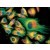 Monoclonal pan Cytokeratin  antibody produced in mouse