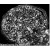 Immunohistochemistry-frozen: MMP2 antibody [NB200-193] - Detection of MMP2 in a frozen injured rat nerve tissue section.  Stained using NB 200-193.