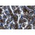 Formalin fixed and Paraffin embedded human placenta tissue section was subjected to IHC staining using NB110-60988.