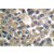 Immunohistochemistry: MMP-19 Antibody [NB100-91875] - Immunohistochemistry  (IHC)  analyzes of MMP-19  (G44) antibody in paraffin-embedded human breast  carcinoma tissue