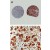 Formalin-fixed, paraffin-embedded sections from a brain tumor tissue array stained for CASP8 expression using CASP8 polyclonal antibody ( Cat # PAB0246 ) at 1 : 2000. A. Anaplastic glioma ( Grade III, left ) and Gemistocytoma ( Grade II, right ) cores showing negative and positive staining for CASP8, respectively. B. Higher magnification of the Gemistocytoma tumor ( from A ) .