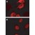 Immunofluorescence confocal microscopy of BAG2. Using BAG2 polyclonal antibody ( Cat # PAB0329 ) at 1 : 2000. HeLa cells stably transfected with Myc-CHIP ( carboxyl terminus of Hsp70-interacting protein ) and growing on coverslips were left untreated ( A ) or heat shocked at 42 degrees for 30 min ( B ) . Cells were fixed with 3.7% paraformaldehyde, permeabilized with 0.5% Triton X-100 prior to antibody staining. BAG2 localized to the cytoplasm of untreated cells, and to the nucleus of cells subjected to heat shock. Please refer to Dai et al ( 2005 ) for additional information on HeLa cells stably transfected with Myc-CHIP.