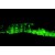 Frozen mouse muscle tissue section stained for BAG3 expression using BAG3 polyclonal antibody ( Cat # PAB0330 ) at 1 : 2000. The tissue section was fixed in 3.8% paraformaldehyde prior to staining. BAG3 localizes with Z-disk proteins.