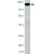 Western blot analysis of STAT5A (phospho S726) polyclonal antibody ( Cat # PAB0620 ) in CEM cell lysate ( 35 µg/lane ). Phospho-STAT5A ( arrow ) was detected using the purified polyclonal antibody ( 1 : 60 dilution ).