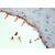 HA-tag polyclonal antibody ( Cat # PAB10343 ) detects HA tagged recombinant proteins by IHC on formalin fixed paraffin embedded tissue.
Arrowheads point to expression of HA tagged proteins in endothelial cells of mouse aorta.
Sections of 4 µm were prepared from representative paraffin blocks.
HA-tag polyclonal antibody ( Cat # PAB10343 ) was diluted at 1 : 2,000.
Personal Communication, Behzad Yeganeh,U. Manitoba, Winnipeg, Canada.