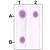 Dot Blot : 1 µg peptide was blot onto NC membrane.
A : STAT3 ( pS727 ) ( Phosphospecific )
B : STAT3 ( Paired S727 ) ( Nonphosphospeicfic )
were blotted at a 1 : 2000 dilution by :
1 : STAT3 polyclonal antibody ( Cat # PAB12784 ),
2 : Phospho-STAT3 S727 polyclonal antibody ( Cat # PAB12753 ).