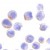 Immunocytochemistry of STAT1 in HeLa cells with STAT1 polyclonal antibody ( Cat # PAB12820 ) at 10 µg/ml.
