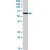 AKT1 (phospho S129) polyclonal antibody ( Cat # PAB2612 ). Western blot analysis of AKT1 expression in MCF-7.