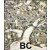 Formalin-fixed and paraffin-embedded human breast carcinoma reacted with AKT1 polyclonal antibody ( Cat # PAB2694 ) , which was peroxidase-conjugated to the secondary antibody, followed by DAB staining. This data demonstrates the use of this antibody for immunohistochemistry ; clinical relevance has not been evaluated.