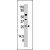 Western blot analysis of AK3L1 polyclonal antibody ( Cat # PAB3989 ) in mouse kidney tissue lysate ( 35 µg/lane ) . AK3L1 ( arrow ) was detected using the purified polyclonal antibody ( 1 : 50dilution ) .
