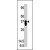 Western blot analysis of PPP2CA polyclonal antibody ( Cat # PAB4150 ) in CEM cell lysate ( 35 µg/lane ) . PPP2CA ( arrow ) was detected using the purified polyclonal antibody ( 1 : 60 dilution ) .