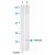 Western blot analysis of extract from NIH/3T3 cells, using YWHAZ polyclonal antibody ( Cat # PAB5213 ) .