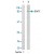Western blot analysis of extract from COLO 205 cells using STAT1 polyclonal antibody ( Cat # PAB5588 ) .