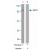 Western blot analysis of extract from MCF-7 cells using STAT1 polyclonal antibody ( Cat # PAB5589 ) .