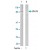 Western blot analysis of extract from HeLa cells using STAT3 polyclonal antibody ( Cat # PAB5591 ) .