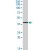 ABHD5 polyclonal antibody ( Cat # PAB7219 ) ( 1 µg/ml ) staining of A-431 cell line lysate ( 35 µg protein in RIPA buffer ) . Primary incubation was 1 hour. Detected by chemiluminescence.