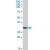 YWHAQ polyclonal antibody ( Cat # PAB7392 ) ( 0.03 µg/ml ) staining of human brain ( hippocampus ) lysate ( 35 µg protein in RIPA buffer ) . Primary incubation was 1 hour. Detected by chemiluminescence.